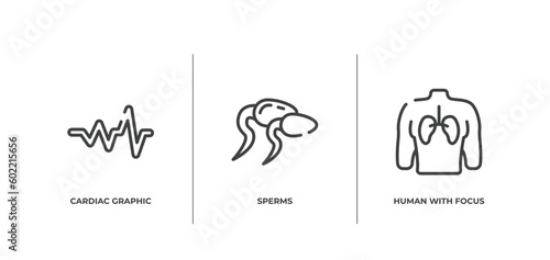 body parts outline icons set. thin line icons sheet included cardiac graphic, sperms, human with focus on the lungs vector.