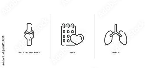 medical icons outline icons set. thin line icons sheet included ball of the knee, null, lungs vector.
