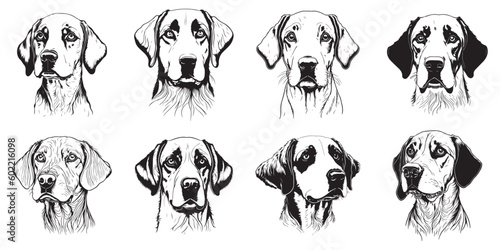 Set of dogs. Dog face sketch black outline logo vector. Dog face logo