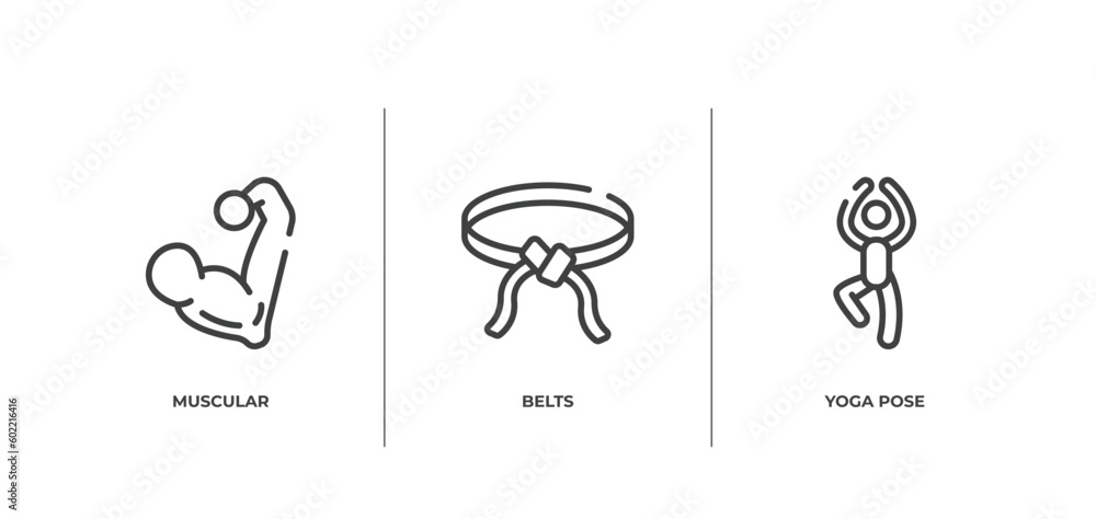 sport fitness outline icons set. thin line icons sheet included muscular, belts, yoga pose vector. sport fitness outline icons set. thin line icons sheet included muscular, belts, yoga pose vector.