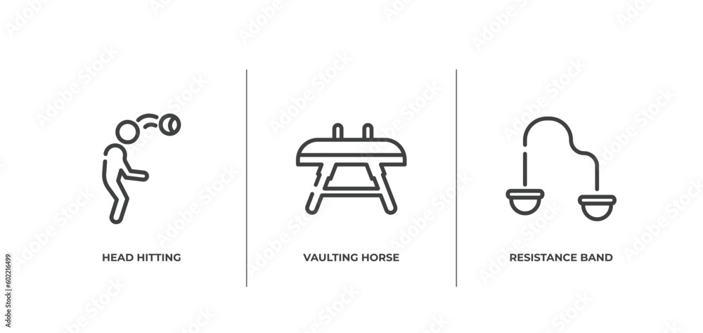 gym outline icons set. thin line icons sheet included head hitting, vaulting horse, resistance band vector. gym outline icons set. thin line icons sheet included head hitting, vaulting horse, resistance band vector.