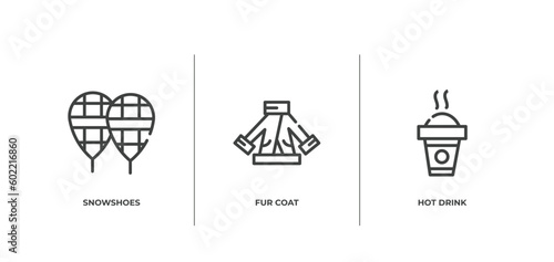 winter outline icons set. thin line icons sheet included snowshoes, fur coat, hot drink vector.