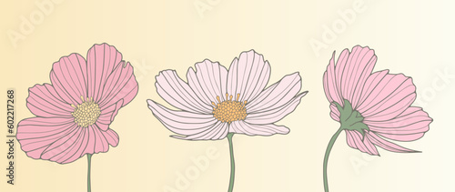 Beautiful tender illustration with three pale pink flowers. Illustration for decor, covers, wallpapers, backgrounds, cards and presentations © Лилия Агапова