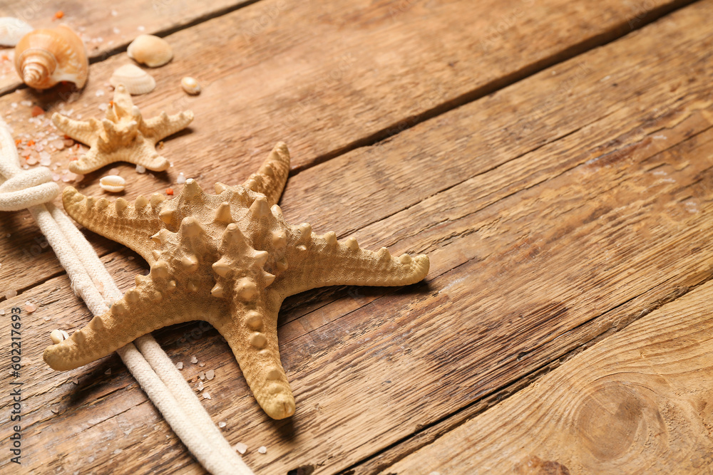 Seashells and starfishes with rope on brown wooden background Seashells and starfishes with rope on brown wooden background