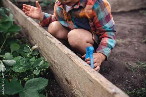 Child toddler heling in greenhouse, kid spraying plants in garden photo