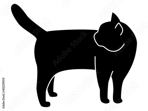 後ろを気にして立ち止まる猫のシルエット