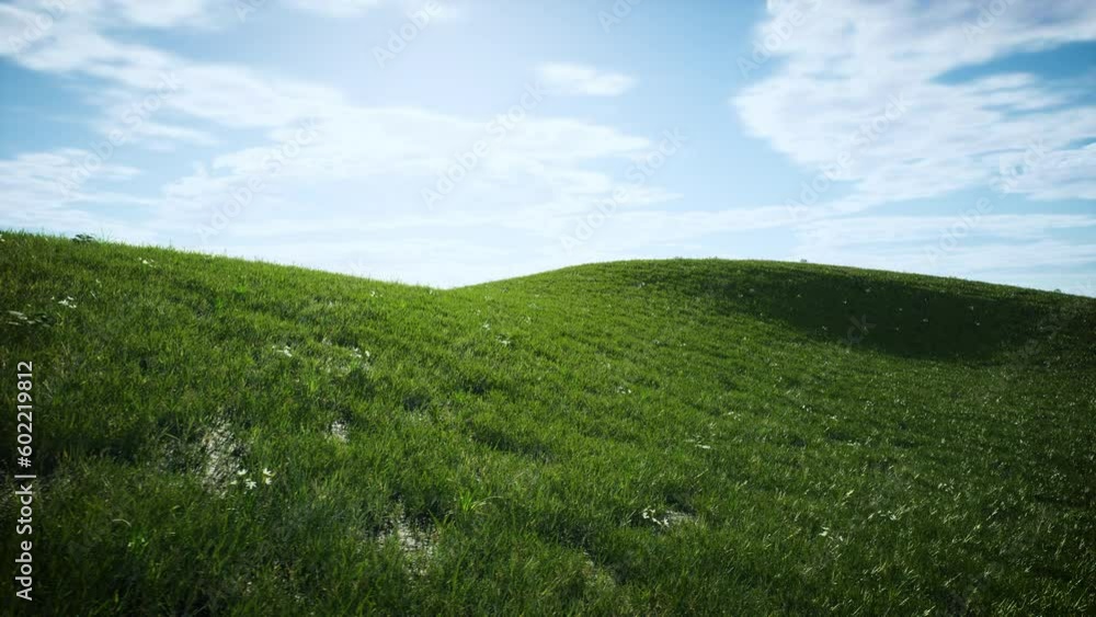 landscape with grass and sky landscape with grass and sky