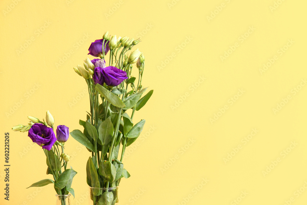 Eustoma flowers on yellow background