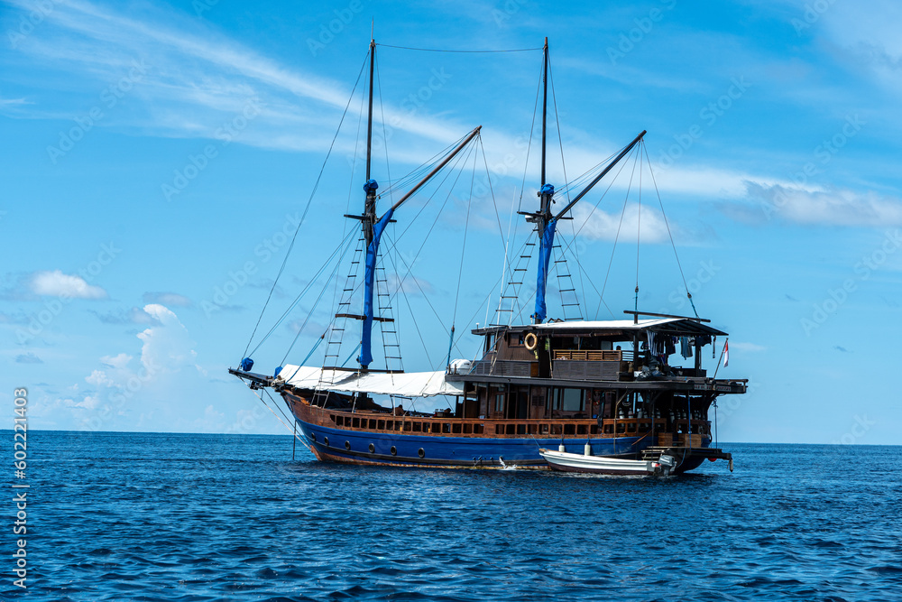 Fototapeta premium Diving with Moana - Komodo National Park