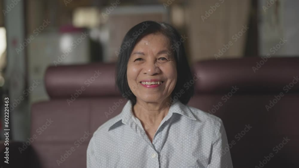 Asian elderly woman smile looking at camera. Senior female siting on sofa in living room at home. Asian elderly woman smile looking at camera. Senior female siting on sofa in living room at home.