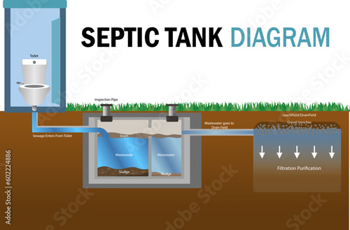 Septic Tank diagram vector illustration, toilet septic tank system illustration, home sewage treatment system., waste water, Infographic of a Septic Tank system, drain field purification filtration