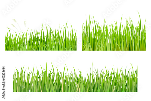 Collection realistic grass borders