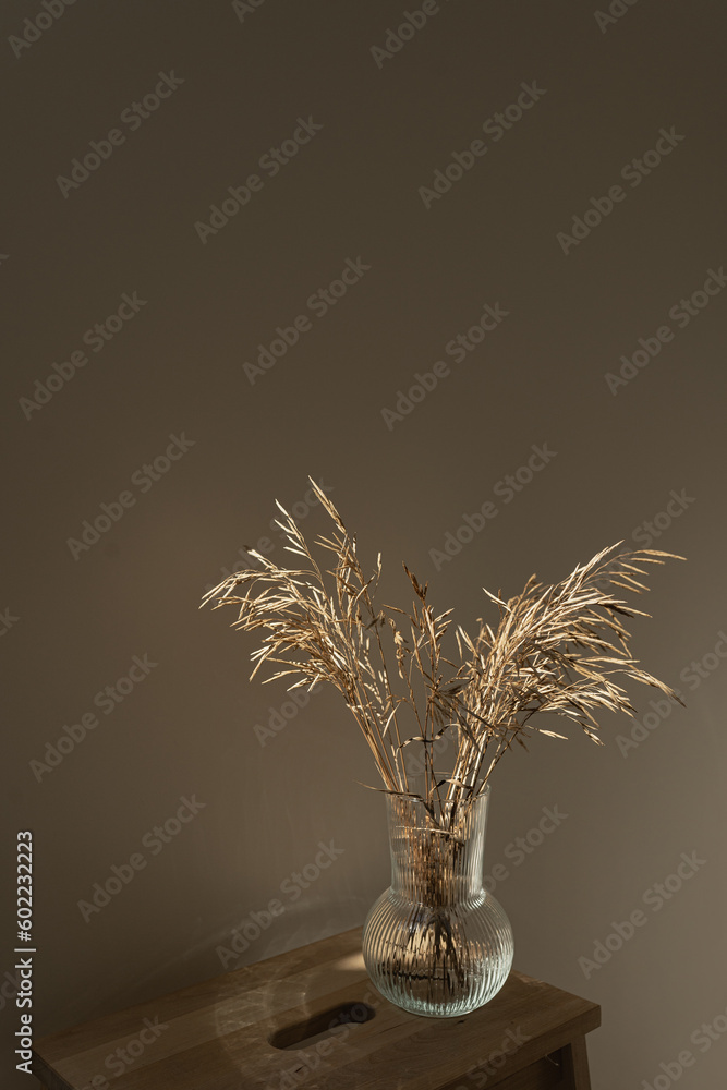 Aesthetic dried grass stems in glass vase against neutral beige wall. Beautiful background with neutral colours. Minimal stylish elegant floral concept. Parisian vibes
