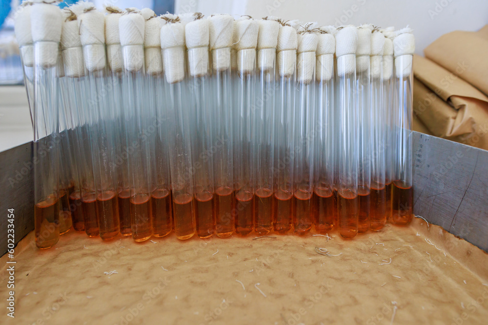 Special medical equipment for working with pathogens. Special medical equipment for working with pathogens.