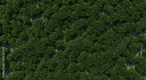 Top view photograph of a forest filled with green trees scattered throughout the area  demonstrating its richness and abundance.3d rendering.