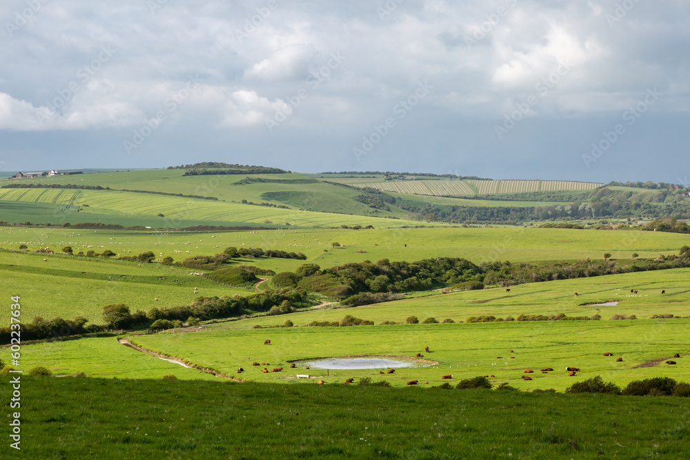 A rural Sussex landscape on a spring day