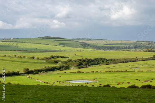 A rural Sussex landscape on a spring day