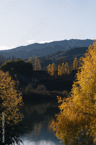 Fototapeta Naklejka Na Ścianę i Meble -  autumn landscape with lake near Queenstown New Zealand