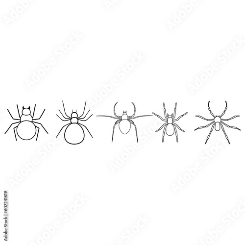 Spider vector icon set. halloween illustration sign collection. insect symbol. spiderweb logo.