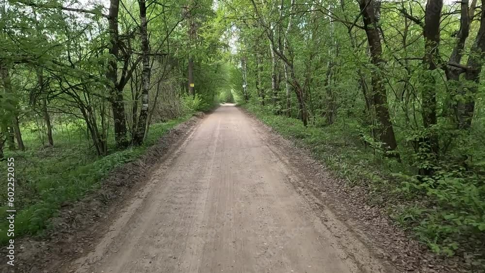 Rural road, the roadside and green forest, the path along the sand and earth. Rural road, the roadside and green forest, the path along the sand and earth.