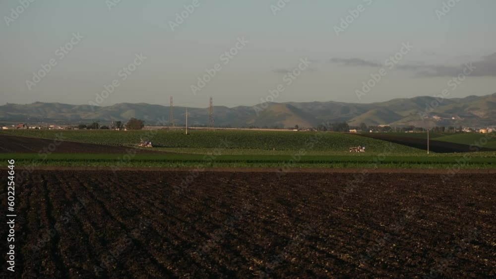 The camera glides smoothly past the freshly prepared, neat, tidy rows of an industrializing agricultural field. The camera glides smoothly past the freshly prepared, neat, tidy rows of an industrializing agricultural field.