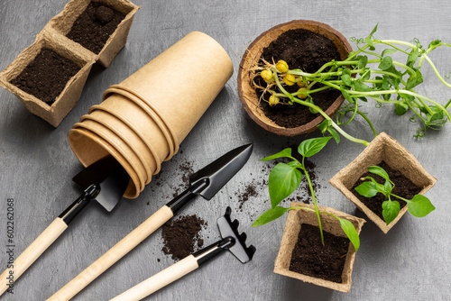 Garden tools, peat pots with soil and seedlings.