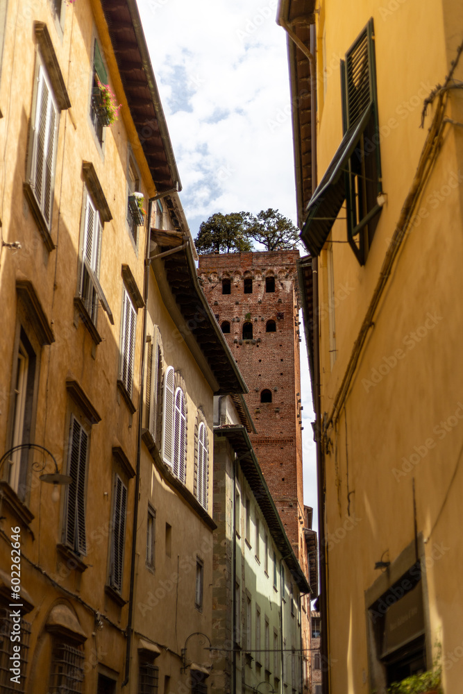 View to the Guinigi Tower in Lucca from the narrow streets