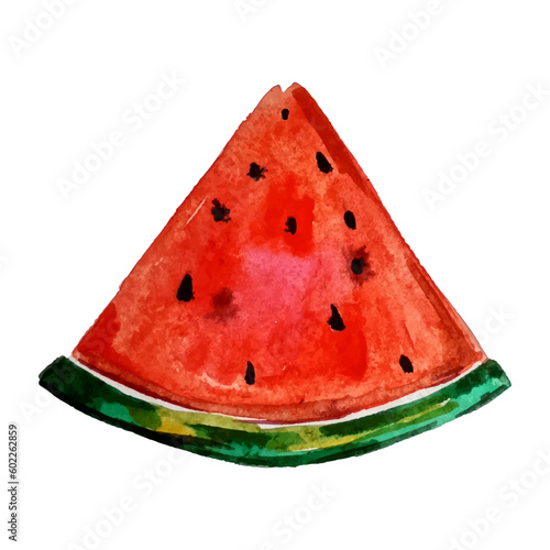 Watercolor slice watermelon. Half fruit vector illustration.