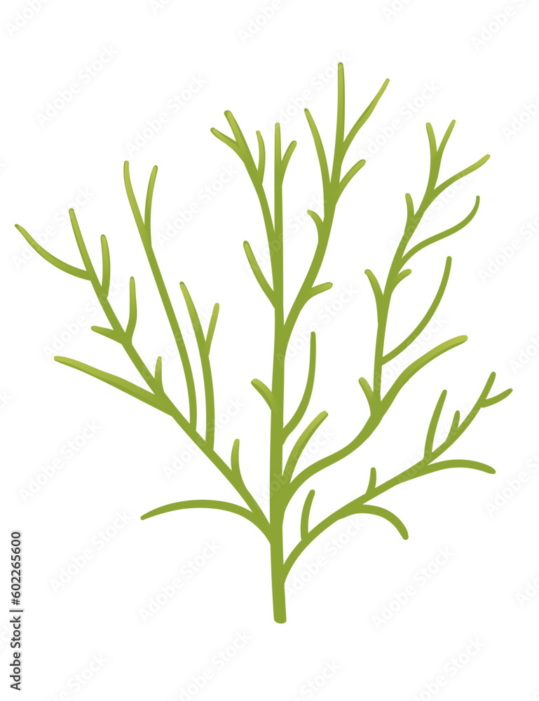 Green color underwater seaweed vector illustration isolated on white background