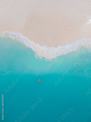 Eagle Beach Aruba, Palm Trees on the shoreline of Eagle Beach in Aruba, an aerial drone view at the beach from above