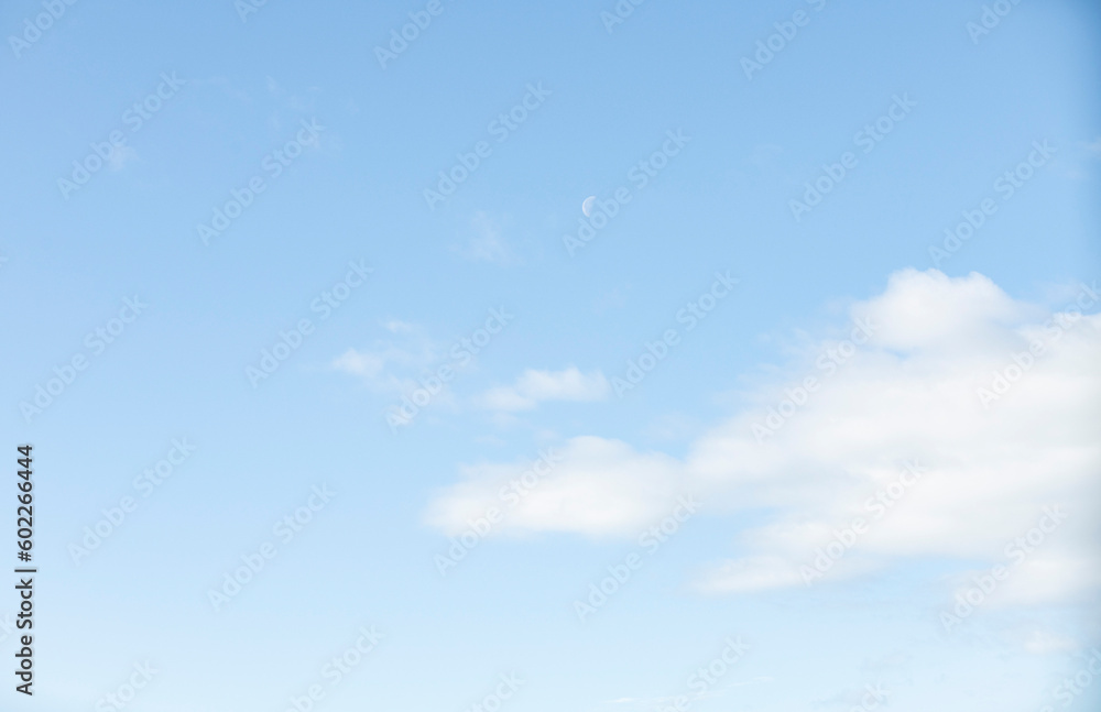 Fototapeta premium spring blue sky