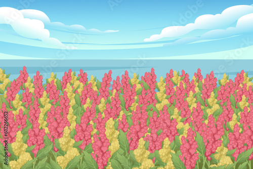 Rural landscape with quinoa flowering plant field cereal crops vector illustration