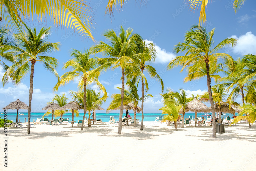 Palm Beach Aruba Caribbean, white long sandy beach with palm trees and a blue ocean at Aruba Antilles.