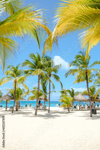 Fototapeta Naklejka Na Ścianę i Meble -  Palm Beach Aruba Caribbean, white long sandy beach with palm trees and a blue ocean at Aruba Antilles.