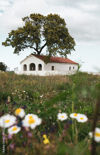 white church in the countryside
