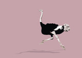 African fauna. Ostrich running. Vector illustration isolated.