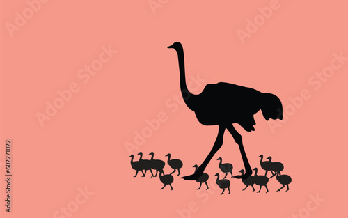 Animals in Africa, the ostrich, that raises many young. Vector silhouette isolated.