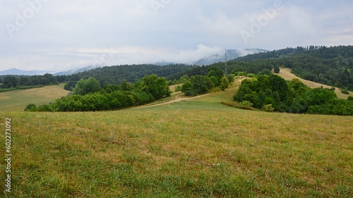 Green meadows and forest above town of Slovenska Lupca, central Slovakia, Banska Bystrica district. Summer cloudy day. photo