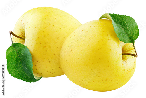 Two yellow apple fruit with green leaf isolated on transparent background. Golden apples. Full Depth of Field photo