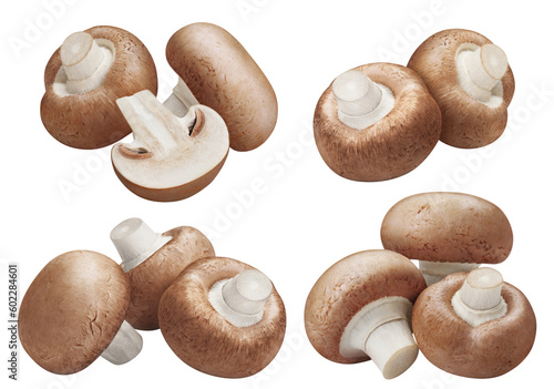 Collection of fresh champignon mushrooms, cut out