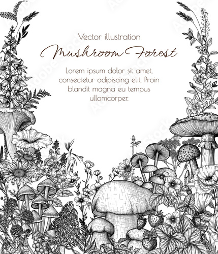 Vector forest frame with mushrooms, plants, herbs. Fly agaric, chanterelles, white mushroom, morels, mycena, chicory, chamomile, poppy, buttercups, veronica, periwinkle, clover, bluebells