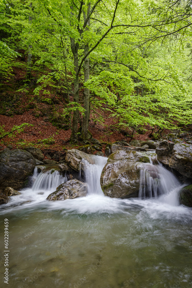 Scenic view of river flowing in forest, Regional Natural Park of the Ligurian Alps, Italy Scenic view of river flowing in forest, Regional Natural Park of the Ligurian Alps, Italy