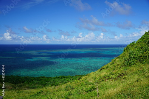 View of the tropical sea in Okinawa © Que sera sera