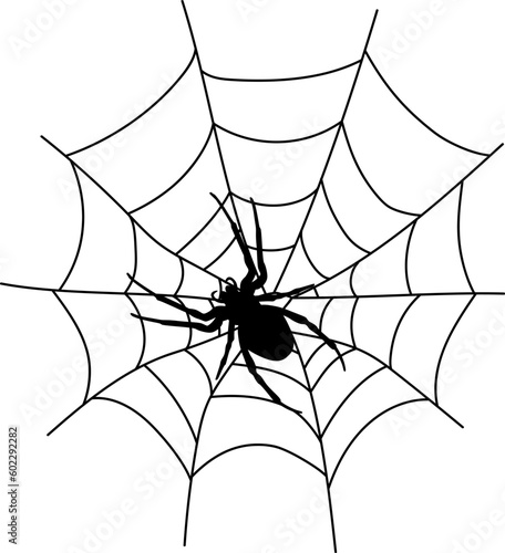 Foto Scary black spider web isolated on white