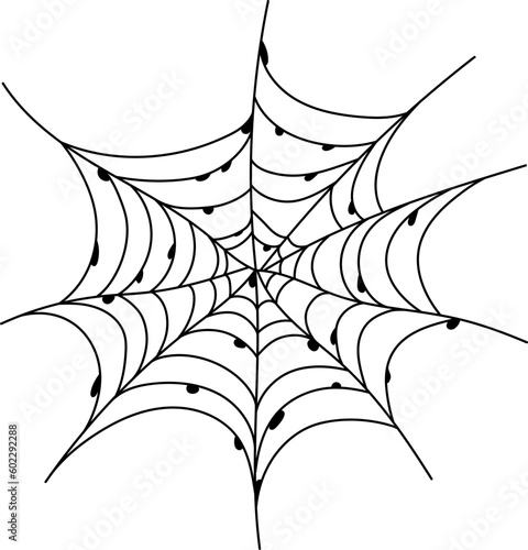 Tableau sur toile Scary spider web isolated