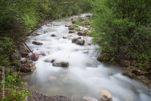 splendide lunghe esposizioni dell'acqua in questo torrente di montagna con sassi coperti di bel muschio verde, torrente nelle dolomiti photo