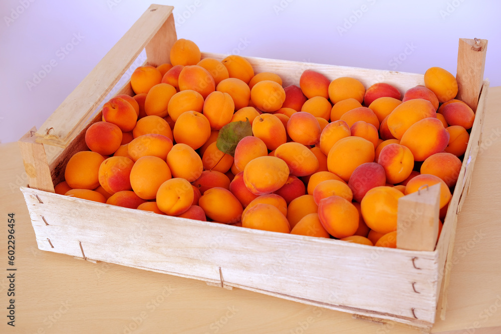 fresh juice fruit, ripe apricots, Prunus armeniaca in wooden box, concept of healthy eating, vegan diet, raw, healthy food, benefits of carotenoids, antioxidants dried apricot production