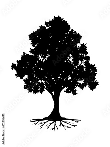 Black Branch Tree or Naked trees silhouettes. Hand drawn isolated illustrations.