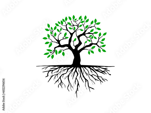 Trees and root with green leaves look beautiful and refreshing. Tree and roots LOGO style.