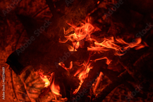 Close up shots of flames and natural wood in an outdoor fire pit at Night